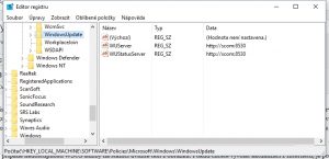 Registr-WSUS-key